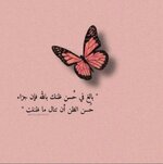 IMG_2695.jpeg