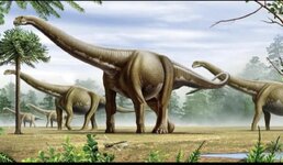 Screenshot_٢٠٢٥٠١٠٢_٠١٤٥٥٠_Gallery.jpg Screenshot_٢٠٢٥٠١٠٢_٠١٤٥٥٠_Gallery.jpg