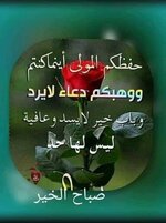 1736148793661.jpeg 1736148793661.jpeg