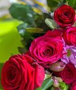 1736419234919.jpeg 1736419234919.jpeg