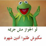 IMG_3800.jpeg