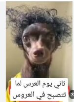 Screenshot_٢٠٢٥٠١١٠-٠٠٠٢١٧_Google.jpg