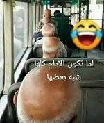 1736507920254.jpeg