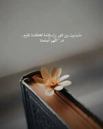 IMG_3254.jpeg