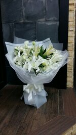 IMG_3369.jpeg