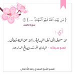 IMG_4619.jpeg