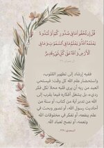 IMG_3546.jpeg