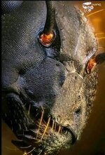 1737792675854.jpeg 1737792675854.jpeg