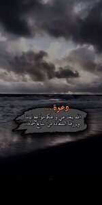 IMG_4729.jpeg IMG_4729.jpeg