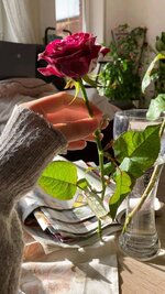 1738466516942.jpeg 1738466516942.jpeg