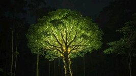 1738468258994.jpeg 1738468258994.jpeg