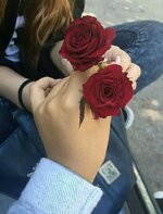 69f482fdbaa1b6a0d3e0646f1edf488f.jpg