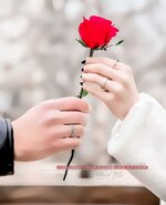 3071ed860a581fbd08cf7cd258bb72cd.jpg