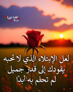 1738894330432.png 1738894330432.png