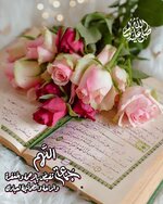 1738904684323.jpeg 1738904684323.jpeg