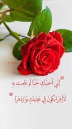 1738916595204.jpeg 1738916595204.jpeg