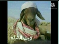Screenshot_٢٠٢٥٠٢١٠-٠٧١٠٣٦_X.jpg