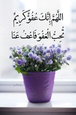 1739397944782.jpeg 1739397944782.jpeg