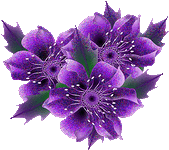 IMG_8365.gif