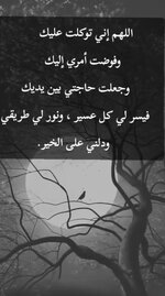 Screenshot_٢٠٢٥٠٢١٢-٠٤٢٨٥٥_TikTok.jpg