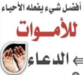 IMG_4799.jpeg IMG_4799.jpeg