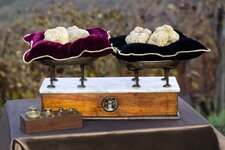 ترافل ألبا الأبيض.jpg ترافل ألبا الأبيض.jpg