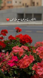 4d2ab6e4-ae36-49ab-8924-067485f87cea.jpeg