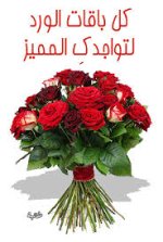 images.jpeg.jpg images.jpeg.jpg