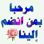 IMG_5031.jpeg