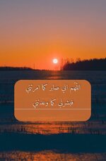 IMG_5173.jpeg