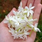 52379891-68a3-4b6f-8a8f-362543d47064.jpeg 52379891-68a3-4b6f-8a8f-362543d47064.jpeg