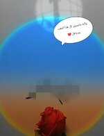 IMG_٢٠٢٥٠٣١٣_٢٢٥٦٢٢.jpg