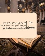 IMG_5286.jpeg