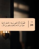 ٢٠٢٥٠٣١٦_٠٢٣٤٠٥.jpg