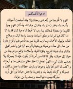 ٢٠٢٥٠٣١٦_٠٢٣٣٢٨.jpg