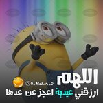 IMG_5376.jpeg