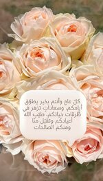 3d9b8eca-e806-48d1-aad6-934d0587f413.jpeg 3d9b8eca-e806-48d1-aad6-934d0587f413.jpeg