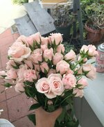 IMG-20180821-WA0021.jpg IMG-20180821-WA0021.jpg