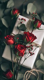 0defcd3e05e646cfecc3cbaca7d6ffa7.jpg 0defcd3e05e646cfecc3cbaca7d6ffa7.jpg