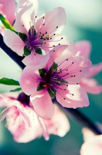 1743780790338.png 1743780790338.png