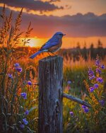 IMG_0684.jpeg