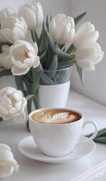 1744602488965.jpeg 1744602488965.jpeg