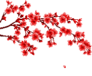 IMG_0400.gif