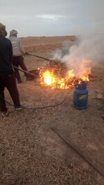 IMG_20250410_184805_091.jpg IMG_20250410_184805_091.jpg