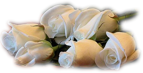 IMG_8230.png
