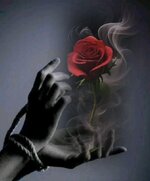 1aa3bc7eccdc8b210a5bb0a09e81c2ca.jpg