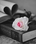 IMG_0836.jpeg IMG_0836.jpeg