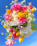 f03bc2e62b364eab3cb0496edaeac54b.jpg