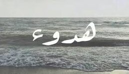 IMG_8213.jpeg