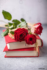rose-book-traditional-gift-sant-2857794.jpg rose-book-traditional-gift-sant-2857794.jpg